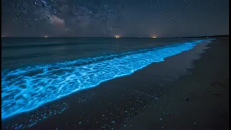 Why off-season blue waves encourage youth to study marine biology careers