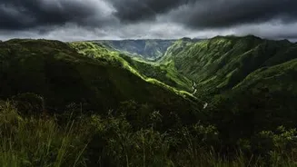 India's monsoon ends 15% below average at 76.86cm, IMD