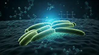 Zero-Calorie Sweeteners: Are They Harming Future Generations?