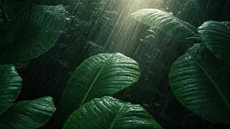 Escape The Crowds With These Rainy Wonders