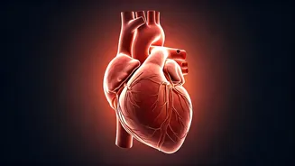 Related Stories banner