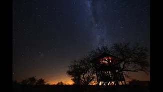 February Is The Best Month For Stargazing: Visit These 5 Places In India For Clear Skies, Twinkling Stars