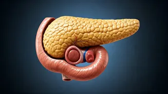 Unveiling Pancreas Health: 5 Warning Signs & Prevention