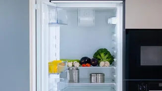 Monsoon And Leftovers: When Should You Refrigerate Cooked Food?