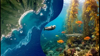 Satellite and Indigenous Coastal Knowledge Connects Community Evidence and Climate Planning with Real Decisions for Coastal Communities and Researc...