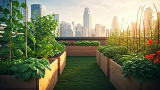 Cities Discover Joy Of Gardening