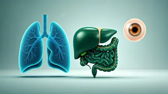 Nourish Your Organs: Powerhouse Foods for Lungs, Liver, Gut & Eyes