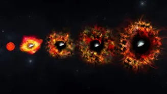 We finally know which stars turn into black holes