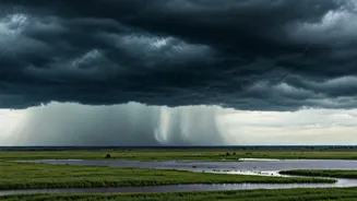 Monsoon Gains Speed As IMD Issues 48 Hour Rain Warning