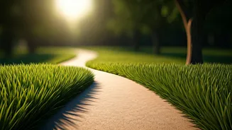 Can A Short Walk Ease Post-Meal Discomfort?