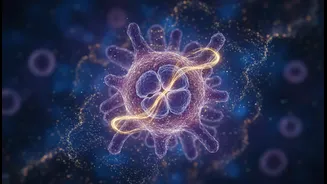 Why semaglutide trial conclusions motivate further research into healthy human aging therapies