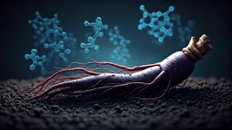 Black Ginseng's Anti-Aging Secret: Scientists Uncover How This Ancient Herb Fights Skin Wrinkles