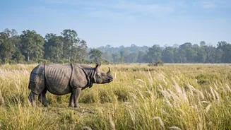 Dudhwa's Rhino Conservation Programme Records Another Population Increase