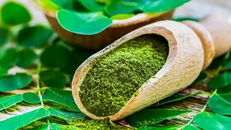How Plant Based Protein Powders Fair Against Whey In Building Lean Daily Muscle Mass