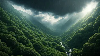 Rainy Season Getaways That Feel Straight Out Of A Dream