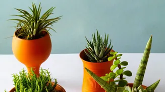 Five Kitchen Items That Deserve a Decorative Second Chance