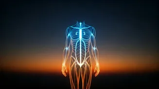 Fitness Plans Should Respect Your Energy Clock