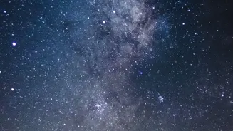 Astronomers Unpack Massive Galactic Smash That Knocked Milky Way Disk On Its Side