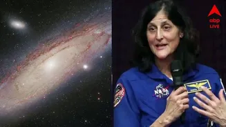 Sunita Williams: এলিয়েন ‘অবশ্যই’ আছে, জানালে সুনীতা উইলিয়ামস, তাদের কি মানুষের মতোই দেখতে? উত্তর এল…