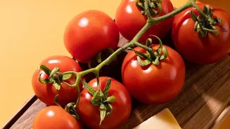 Some foods lose flavour or texture in unnecessary refrigeration Works Best As A Story About Tomatoes potatoes and bread each need different storage...