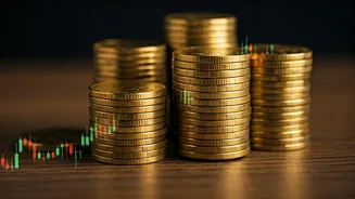 India's IPO Market Is Thriving Now.