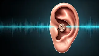 Unraveling Misophonia: Why Everyday Sounds Irritate You