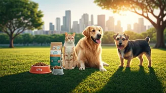 How Consistent Routines And Quality Nutrition Transformed City Pet Health