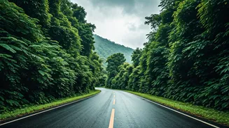 Why South India Rains Call For Endless Road Trips