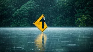 Rainy Travel Has Entered Alert-Check Mode