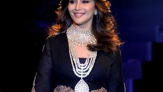 Why shimmer defines Madhuri Dixit's style