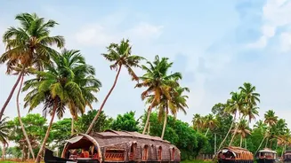 How To Choose Safe Rainforest Homestays In Wayanad For Monsoon Travel