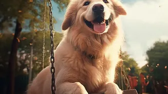 India's Expanding Pet Services Need Clearer Accountability