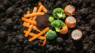 Kitchen Scraps Are The Start Of Better Soil