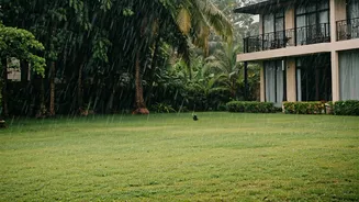 Monsoon Honeymoons Need Calm, Not Chaos
