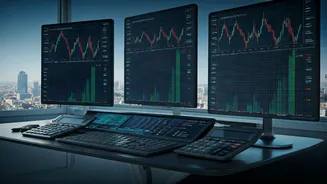 Decoding Investment Strategies in India's Dynamic Market