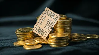 Dhurandhar's Box Office Journey: A Slowdown?