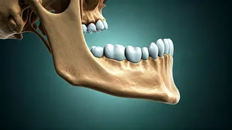 Unlock Your Inner Peace: Understanding Deep Jaw Release Therapy