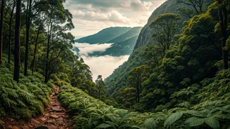 Unveiling South India's Secluded Sanctuaries: Your Guide to Lesser-Known Hill Stations