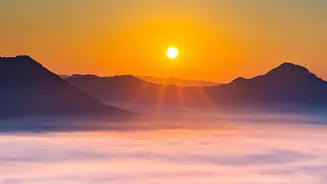 Why Ten Minutes In Morning Rays Helps Keep Biological Clocks Operating On Schedule