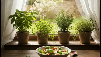 A Useful Green Corner Can Improve Both Meals And Mood