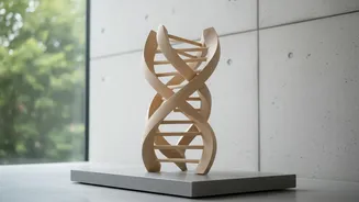 The Science Of DNA Loops Could Redefine Future Cancer Treatment Strategies