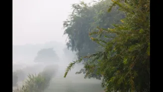 From Pleasant To 8.5°C: Bengaluru’s December Winter Tightens Its Grip