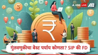 SIP मध्ये गुंतवणूक करावी की FD करावी? दोन्ही पर्यायांमध्ये नेमके फायदे तोटे काय? जाणून घ्या?