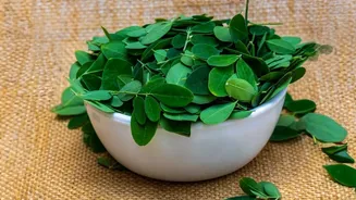 Moringa Seeds Contain Nutrients but Immunity Claims Need Better Human Evidence