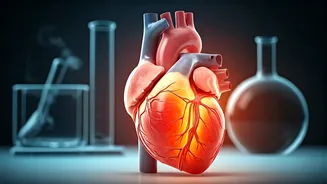 Guard Your Heart: 5 Dietary Pitfalls Leading to Silent Heart Attacks in India