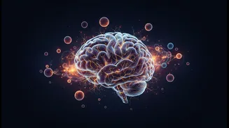 Why long-held medical assumptions fade after revolutionary cerebellar brain cell discovery