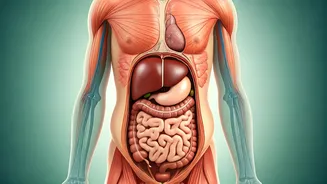 Beyond the Scale: Why 'Normal Weight' Isn't Always Healthy