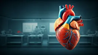 Ultraprocessed Foods: A Hidden Danger to Your Heart Revealed by US Study