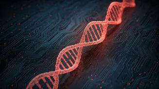 Medical AI Tools Could Create National Health Data Risks