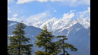 Current Weather Observations for Manali and Surrounding Areas